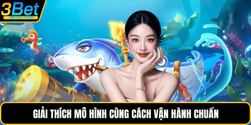 Giải thích mô hình cùng cách vận hành chuẩn