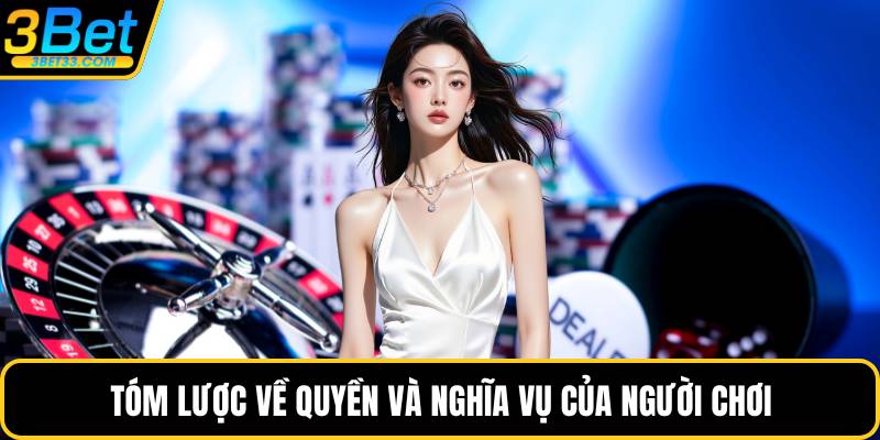 Tóm lược về quyền và nghĩa vụ của người chơi